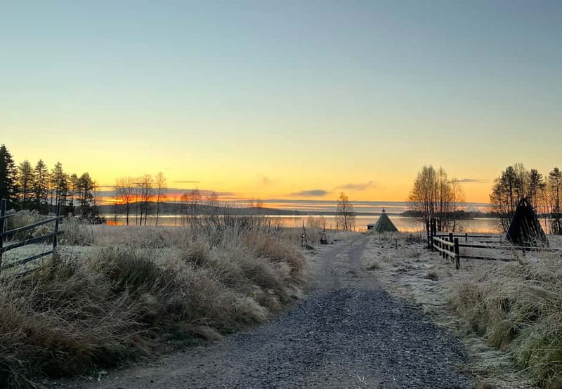 Rovaniemi: Autumn Husky Ride on Wheels - Arriving at Apukka Resort and finding the husky farm