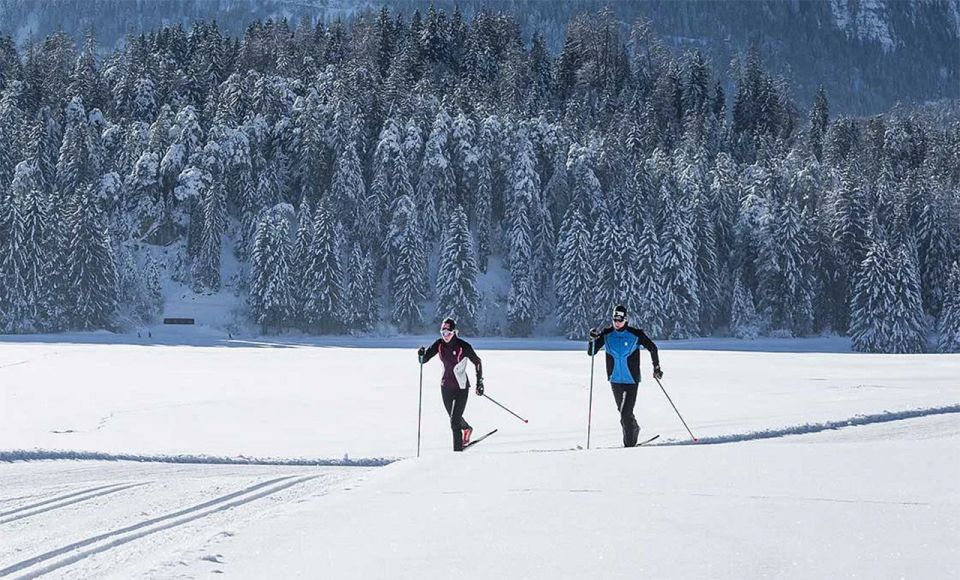 Rovaniemi: Cross Country Wilderness Ski Adventure - Key Things I’d Tell You Up Front