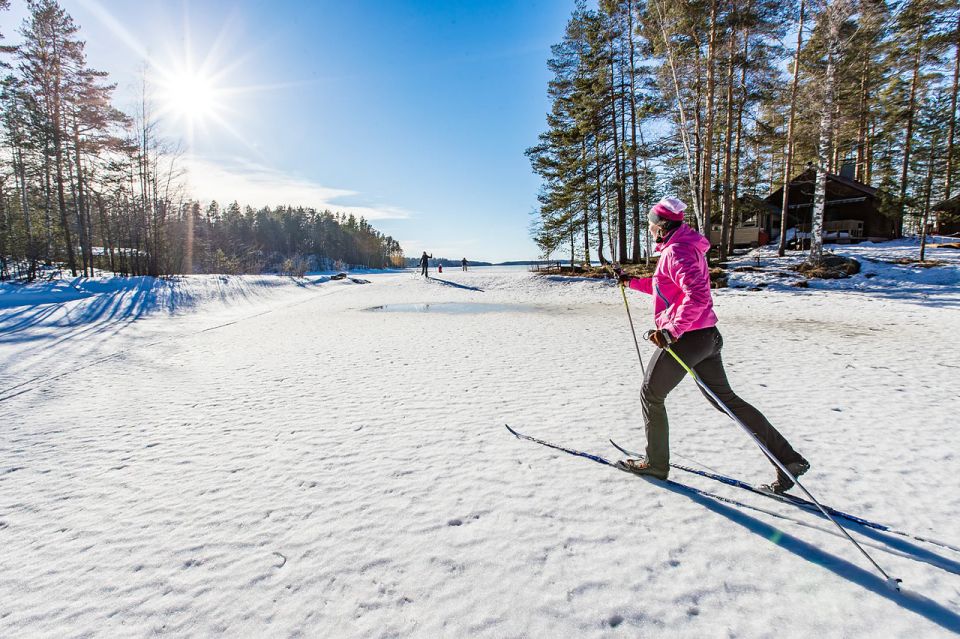 Rovaniemi: Cross Country Wilderness Ski Adventure - What You’ll See: Forest Quiet, Sunlight, and Wildlife Clues