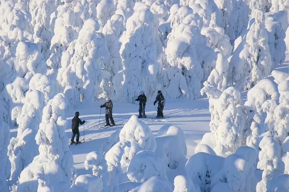 Rovaniemi: Cross Country Wilderness Ski Adventure - The 3.5-Hour Flow: Getting From Rovaniemi to Snow