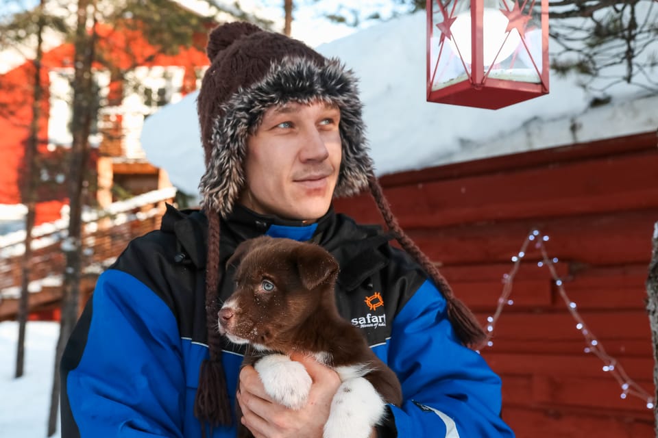 Rovaniemi: Daytime Husky Safari - After the Ride: Campfire Warm-Up and Husky Stories That Actually Mean Something