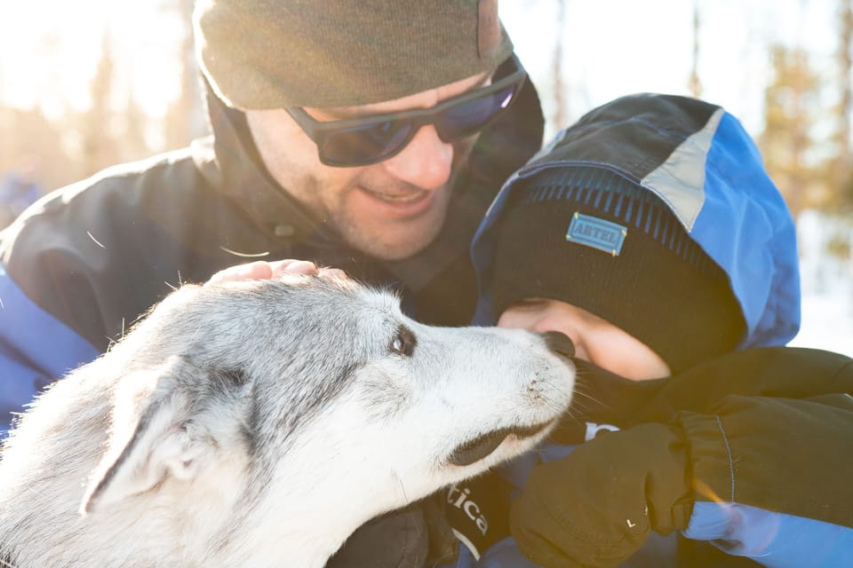Rovaniemi: Daytime Husky Safari - Who Should Book This Daytime Husky Safari (And Who Might Skip It)