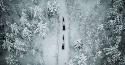 Rovaniemi: Daytime Reindeer Sleigh Ride - Meeting at Safartica Office (Koskikatu 9) and why being early matters