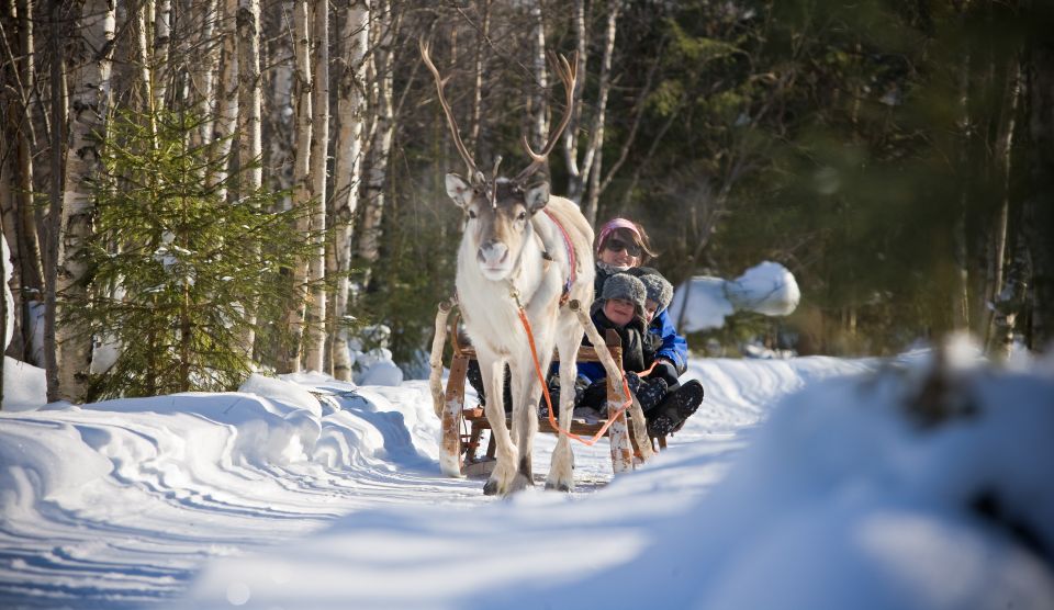 Rovaniemi: Daytime Reindeer Sleigh Ride - Who should book this daytime reindeer ride, and who might want something else