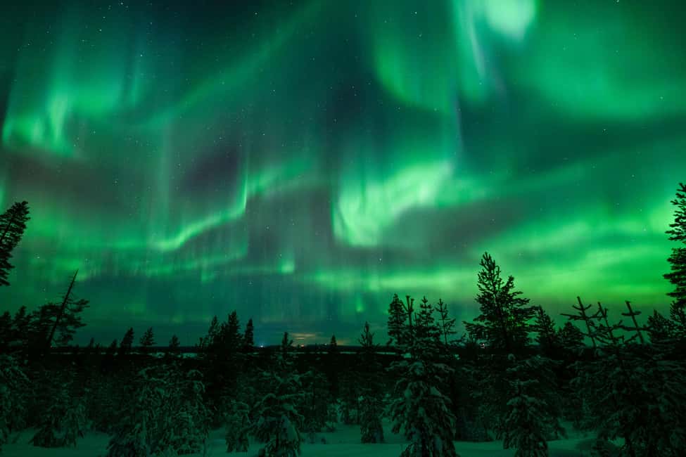 Rovaniemi: Discover the Northern Lights Photography Tour - Who This Tour Is Best For (and Who Might Skip It)
