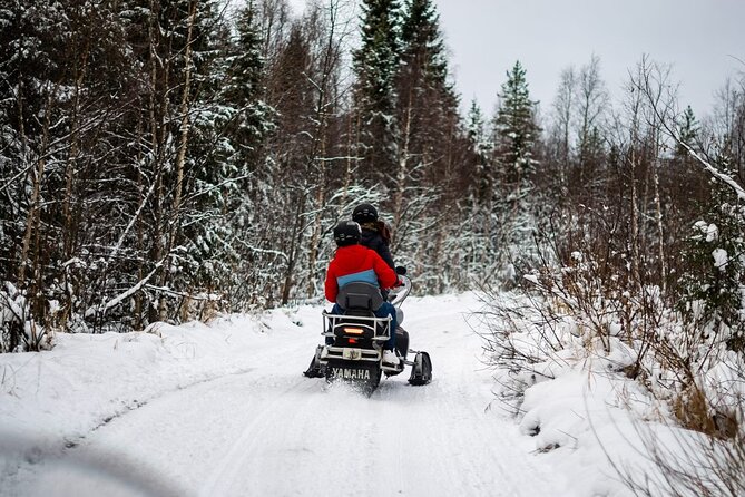 Rovaniemi: Drive New 2025 Snowmobiles on Arctic Safari & BBQ - Key highlights worth planning for