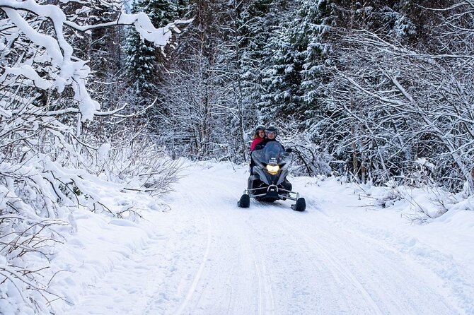 Rovaniemi: Drive New 2025 Snowmobiles on Arctic Safari & BBQ - The practical packing list you’ll wish you had