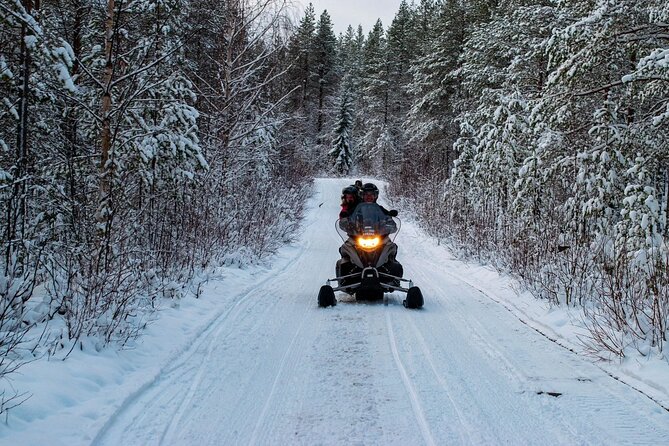 Rovaniemi: Drive New 2025 Snowmobiles on Arctic Safari & BBQ - Gear-up reality: winter clothes, helmets, and face protection