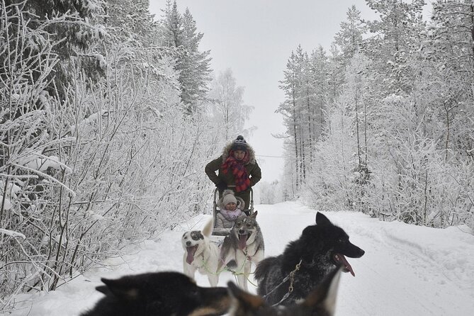 Rovaniemi: Drive Your Own Husky Team (6–10 km) & BBQ - Warming up with Lapland-style BBQ after the run