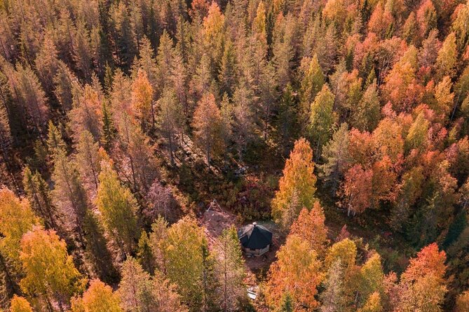 Rovaniemi: Drive Your Own Husky Team (Autumn) & BBQ - Rovaniemi Pickup, Timing, and the Comfort of a Max-8 Group