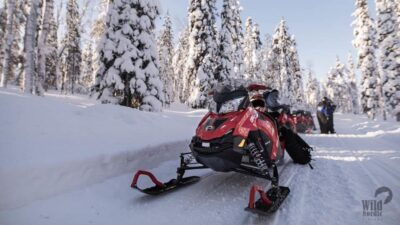 Rovaniemi: Easy Snowmobile Safari - Driving the Snowmobile: What Beginners Need to Know