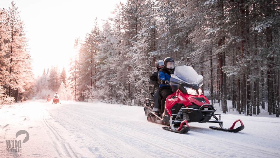 Rovaniemi: Easy Snowmobile Safari - Price and Value: Why Around $116 Can Be a Good Deal