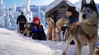 Rovaniemi: Family Friendly Husky Ride and Farm Visit - The Warm-Up Part: Learning While You Get Cozy