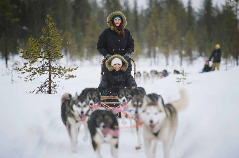 Rovaniemi: Family Friendly Husky Ride and Farm Visit - Family Fit in Lapland: Kids, Adults, and Cold-Weather Reality