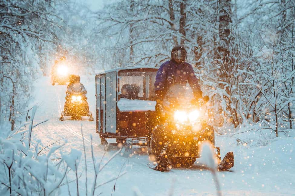 Rovaniemi: Family Snowmobiling Trip - Price and Value: What You’re Really Paying For