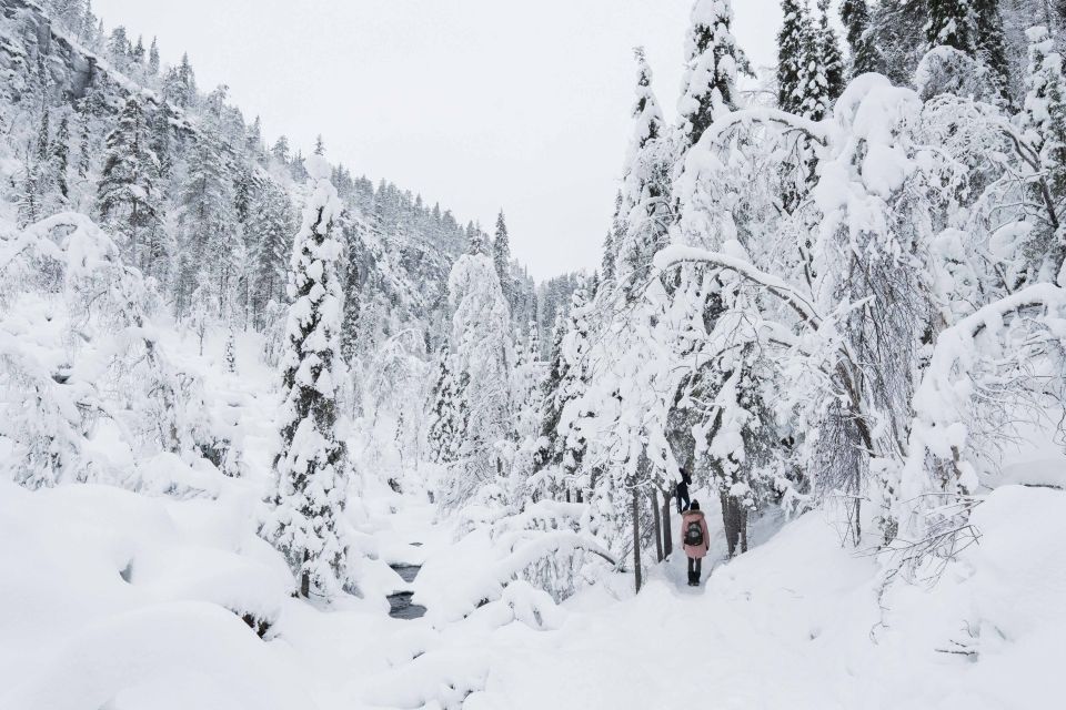 Rovaniemi: Frozen Waterfalls of Korouoma Canyon & Pro Photos - The 5km hike through arctic forest, ice falls, and canyon viewpoints