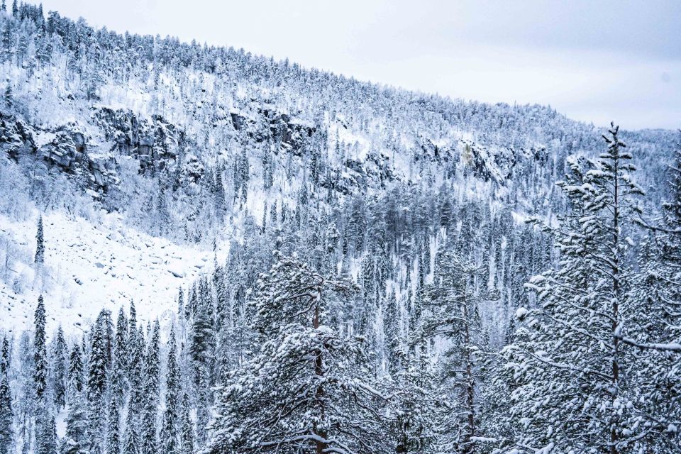 Rovaniemi: Frozen Waterfalls of Korouoma Canyon & Pro Photos - Final call: should you book Korouoma Frozen Waterfalls with Beyond Arctic?