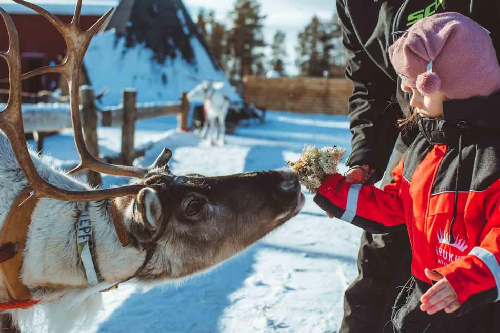 Rovaniemi: Full-Day Snow and Fun Activities - Why Apukka’s snow day is a smart fit for Rovaniemi families