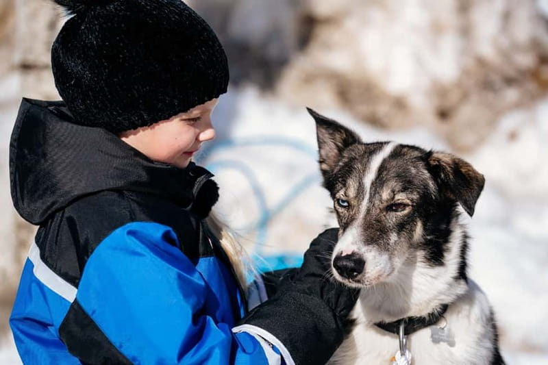 Rovaniemi: Full-Day Snow and Fun Activities - Animal encounters that actually feel hands-on: huskies and reindeer