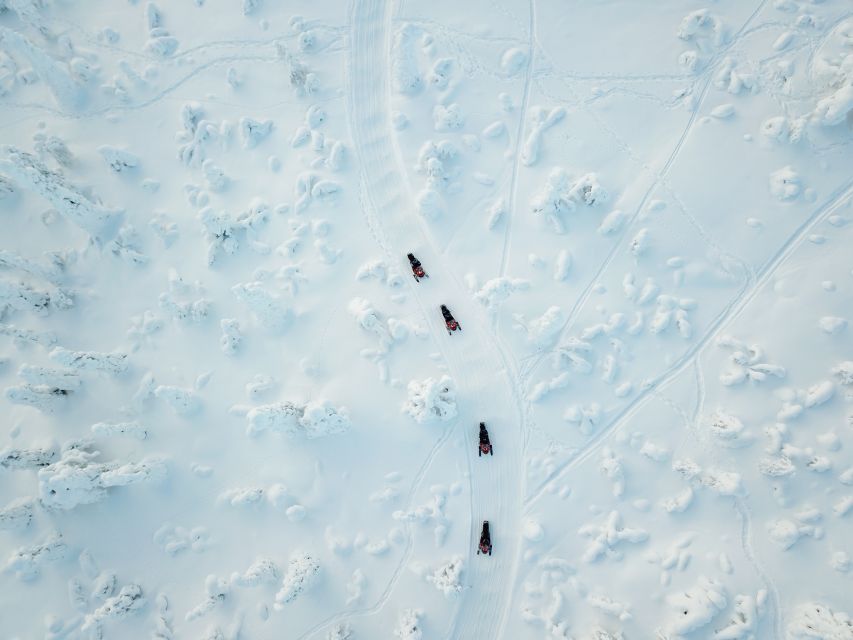 Rovaniemi: Full-Day Snowmobile Safari into the Wilderness - Rovaniemi Snowmobile Safari: why this one feels more wilderness than tour