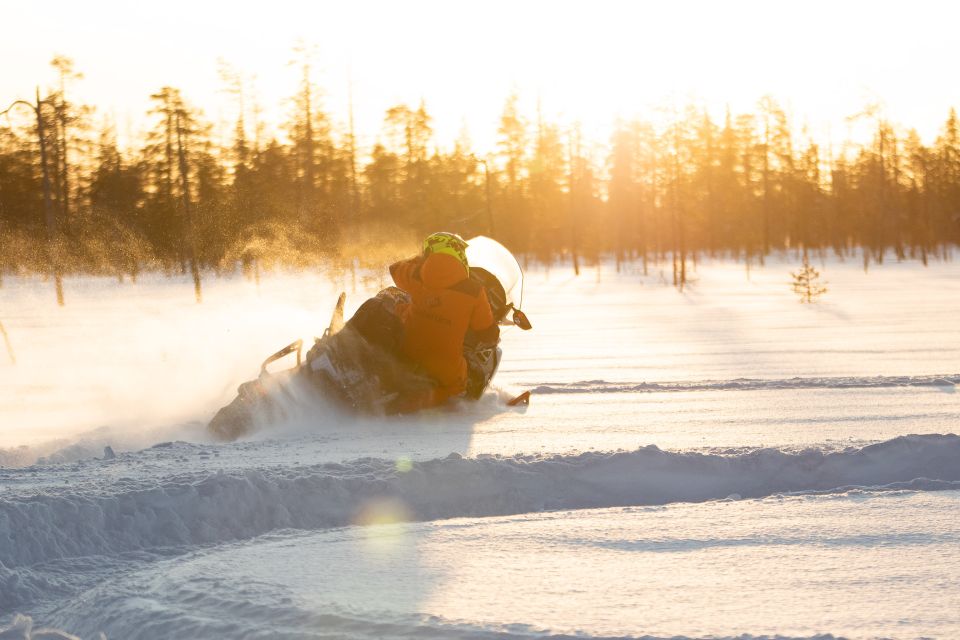Rovaniemi: Full-Day Snowmobile Safari into the Wilderness - Price and value: is $293 for 6 hours fair?