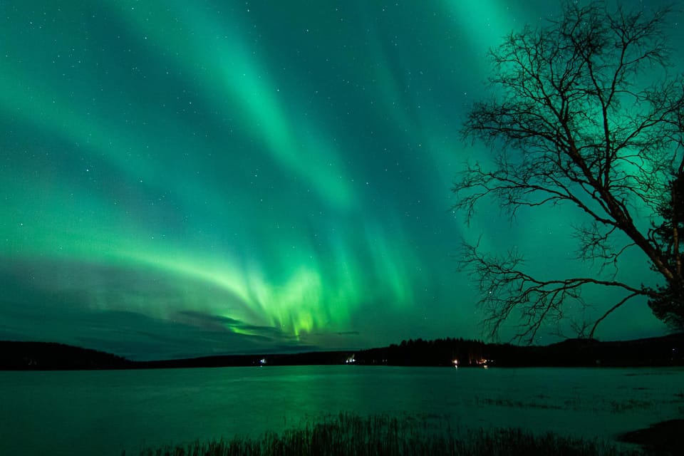 Rovaniemi: Guaranteed Aurora Hunting Tour with Local Guide - Your night starts in Rovaniemi: pickup, van details, and how to be ready
