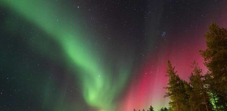 Rovaniemi: Guaranteed Aurora Hunting Tour with Local Guide - Who this tour is best for (and who should skip it)
