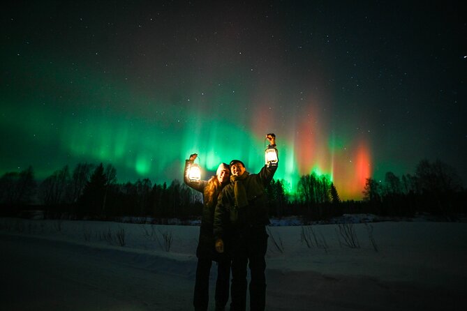Rovaniemi: Guaranteed Northern Lights - Small Group & Photography - Price and logistics: what $181.84 buys you (and what it doesn’t)