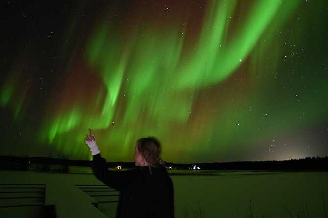 Rovaniemi: Guaranteed Northern Lights - Small Group & Photography - Real-time monitoring means less guessing and more patience