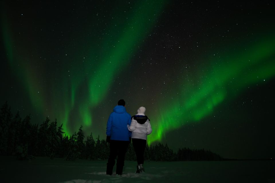 Rovaniemi: Guided Northern Lights Tour - Key takeaways before you go