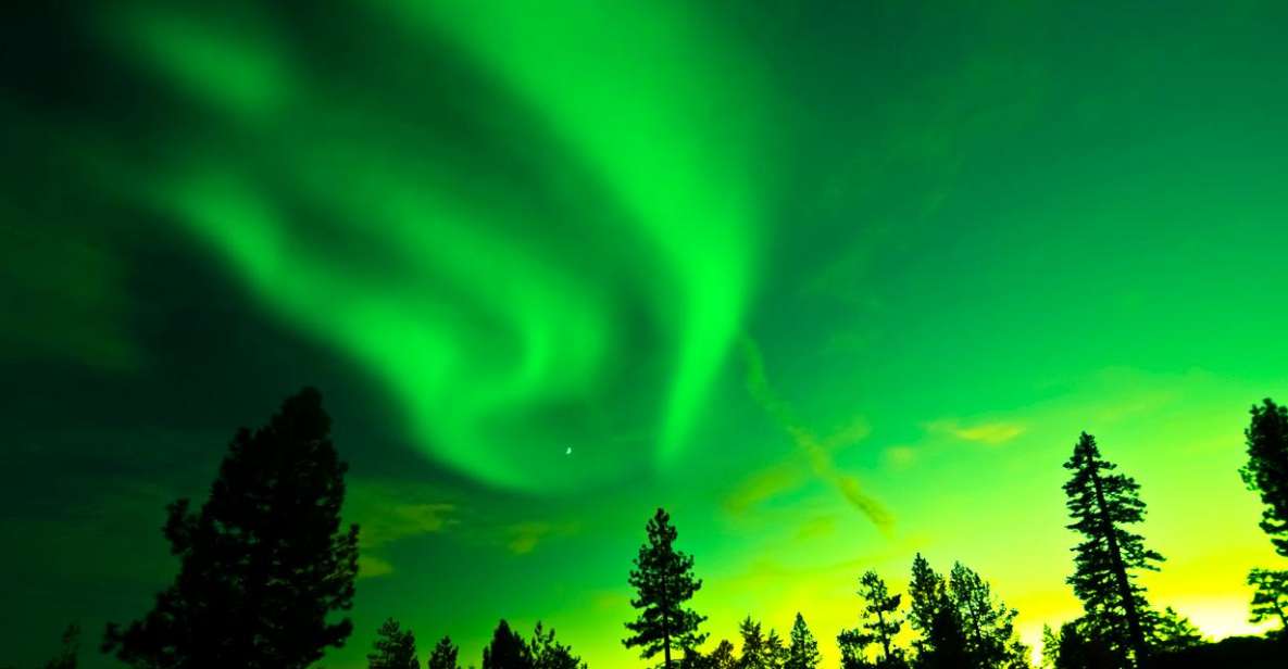 Rovaniemi: Guided Northern Lights Tour - Learning the Aurora: Polar Lights explanations that actually help