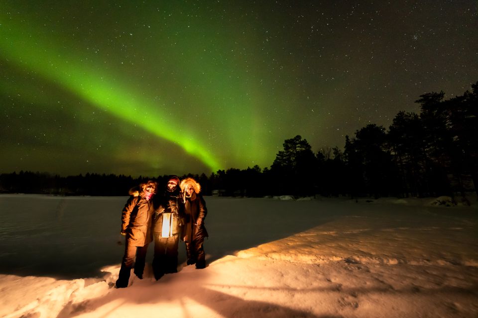 Rovaniemi: Guided Northern Lights Tour - Weather is the wildcard: what happens when the sky won’t cooperate