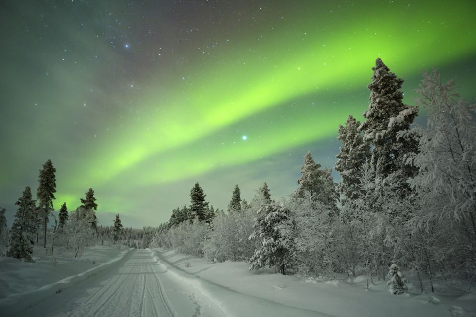 Rovaniemi: Guided Northern Lights Tour - Meeting points: where the pickup actually happens
