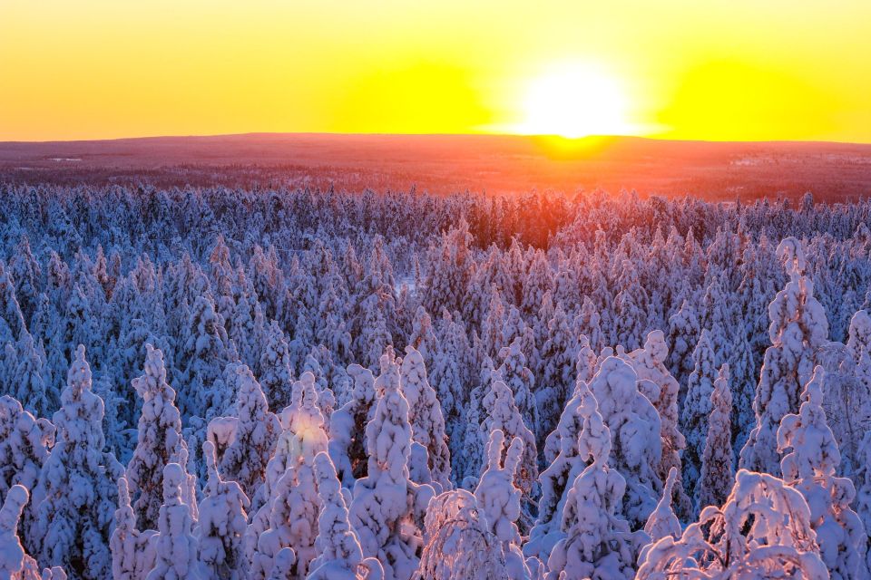 Rovaniemi: Guided Wilderness Snowmobile Ride - The 1-Hour Arctic Trail Run: Speed, Photo Stops, and Driver Swaps