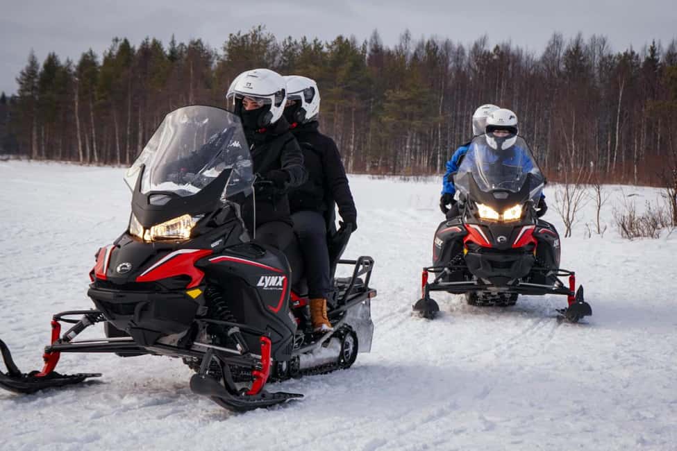 Rovaniemi: Guided Wilderness Snowmobile Safari & Barbeque - Speed, Comfort, and the Reality of Winter Timing