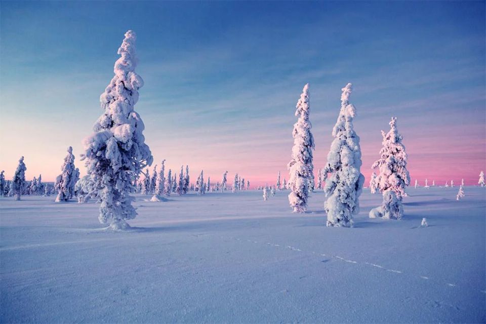 Rovaniemi: Half-Day Snowmobile & Ice Fishing Experience - Key highlights (the stuff that matters)