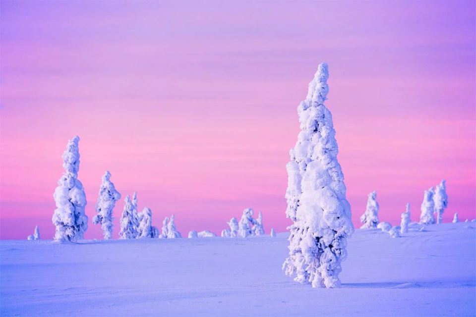 Rovaniemi: Half-Day Snowmobile & Ice Fishing Experience - Ice fishing on a frozen lake: what you actually do