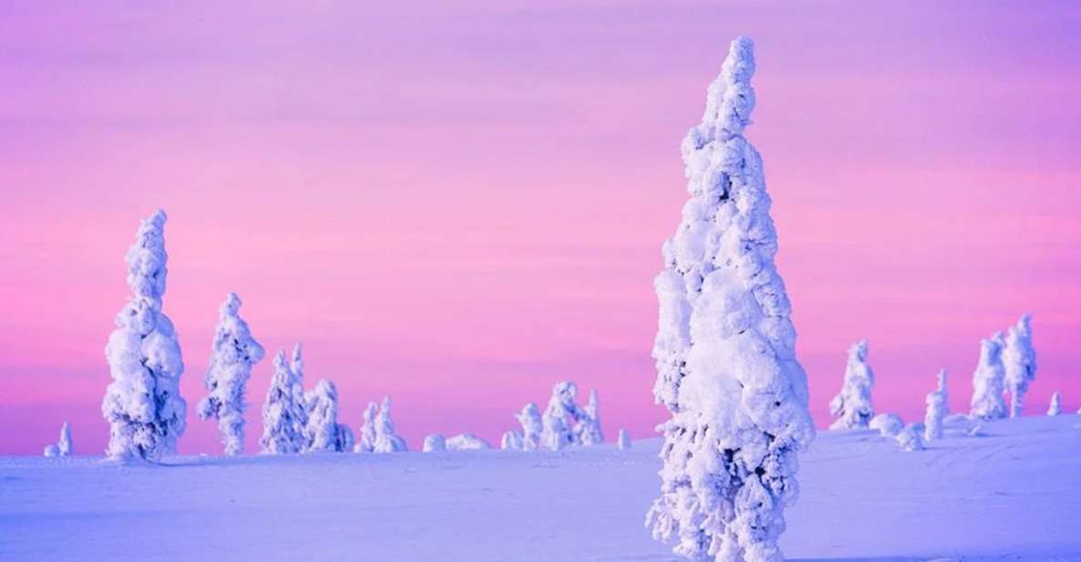 Rovaniemi: Half-Day Snowmobile & Ice Fishing Experience - Price and value: is $258 per person fair?