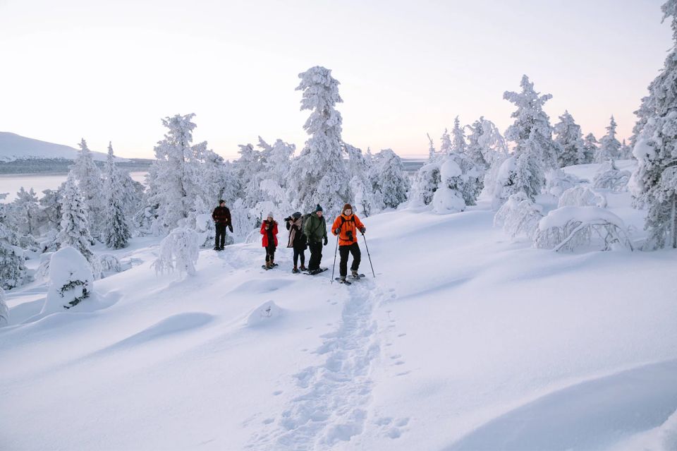Rovaniemi: Hiking and Snowshoeing Adventure in Lapland - Key Highlights You’ll Feel During the Walk