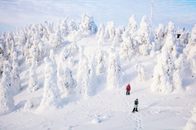 Rovaniemi: Hiking and Snowshoeing Adventure in Lapland - Gear, Pickup, and the Real Setup on a Cold Morning