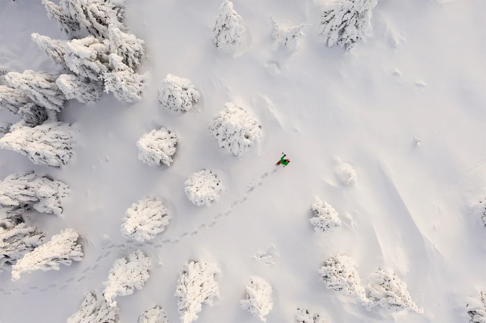 Rovaniemi: Hiking and Snowshoeing Adventure in Lapland - Why the Blueberry Juice and Gingerbread Matter