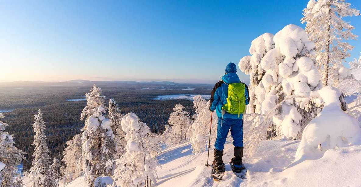 Rovaniemi: Hiking and Snowshoeing Adventure in Lapland - Price and Value: What You’re Paying For