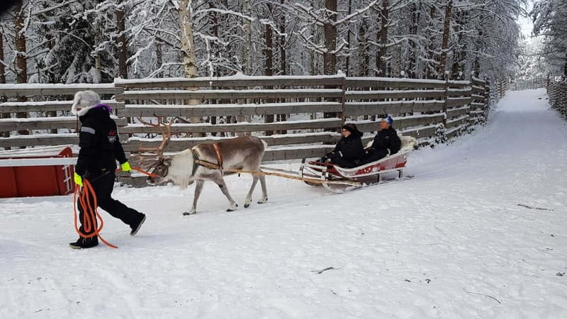 Rovaniemi: Husky Farm and Reindeer Experience - Santa Claus Village free time: plan for tourist energy