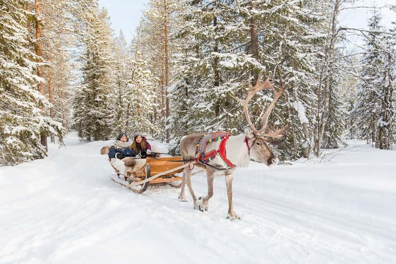 Rovaniemi: Husky Farm and Reindeer Experience - Who this tour suits best (and who should skip it)