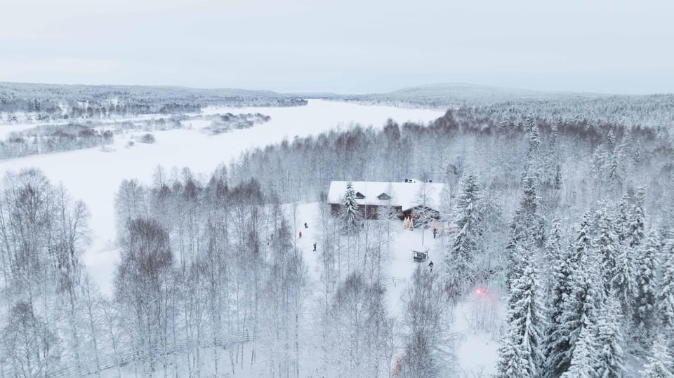 Rovaniemi: Husky Farm Visit with a Sledge Ride - The Balanced Take: What People Usually Love, and What to Watch