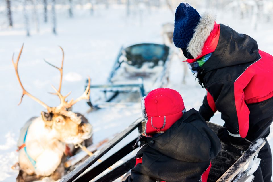 Rovaniemi: Husky & Reindeer Experience with Snowmobile Ride - The 1-hour shared snowmobile ride through Arctic Circle forests