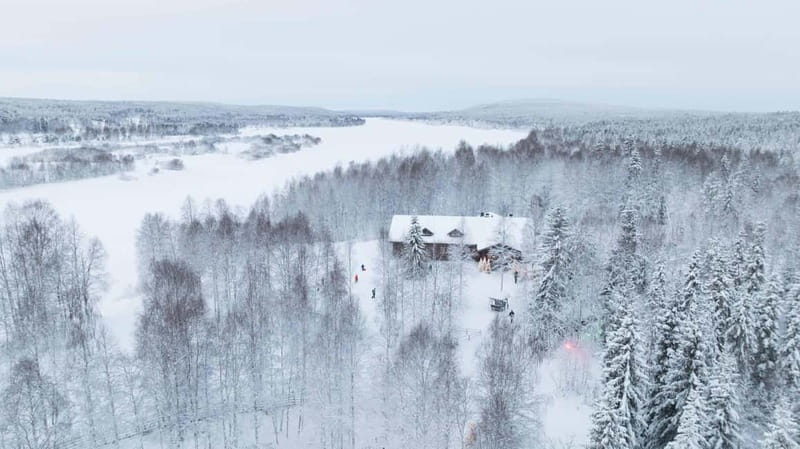 Rovaniemi: Husky & Reindeer Experience with Snowmobile Ride - Husky sleigh ride: 500m of teamwork and noise