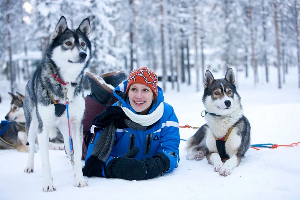 Rovaniemi: Husky Safari on a Snowy Trail - The 10km sled ride: what it’s like when you’re driving