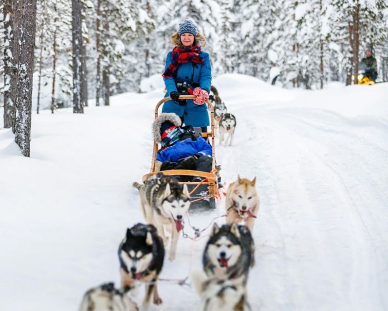 Rovaniemi: Husky Safari on a Snowy Trail - Price and value: is $269 a fair deal?