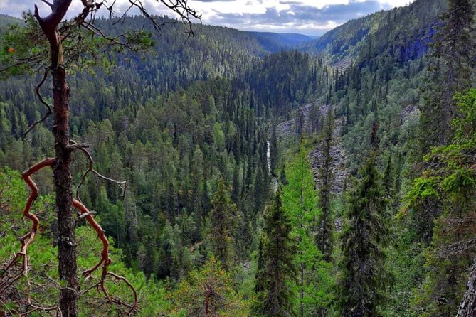 Rovaniemi Korouoma Canyon Hike and Barbecue Experience - Key highlights before you go